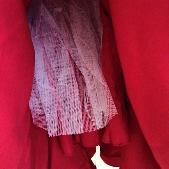 Elegant Dress ** Not For SALE ** - Picture 6 of 7